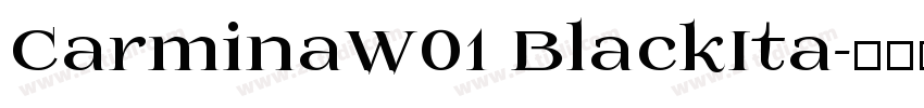 CarminaW01 BlackIta字体转换